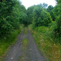 Catskill Scenic Trail